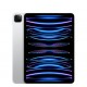 Apple iPad Pro 11" Cellular 128GB M2 2022 (4th Generation)